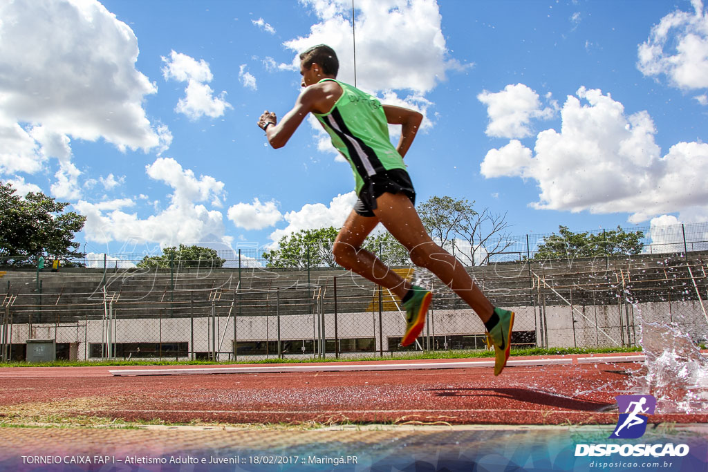 1º Torneio Federação de Atletismo do Paraná 2017 (FAP)