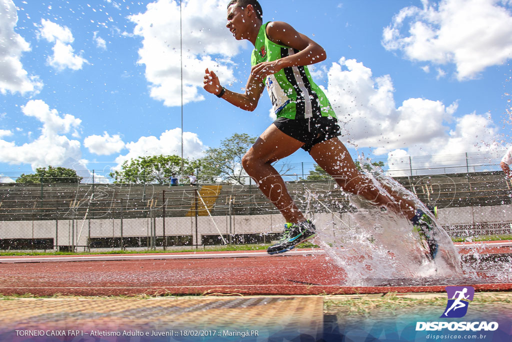 1º Torneio Federação de Atletismo do Paraná 2017 (FAP)