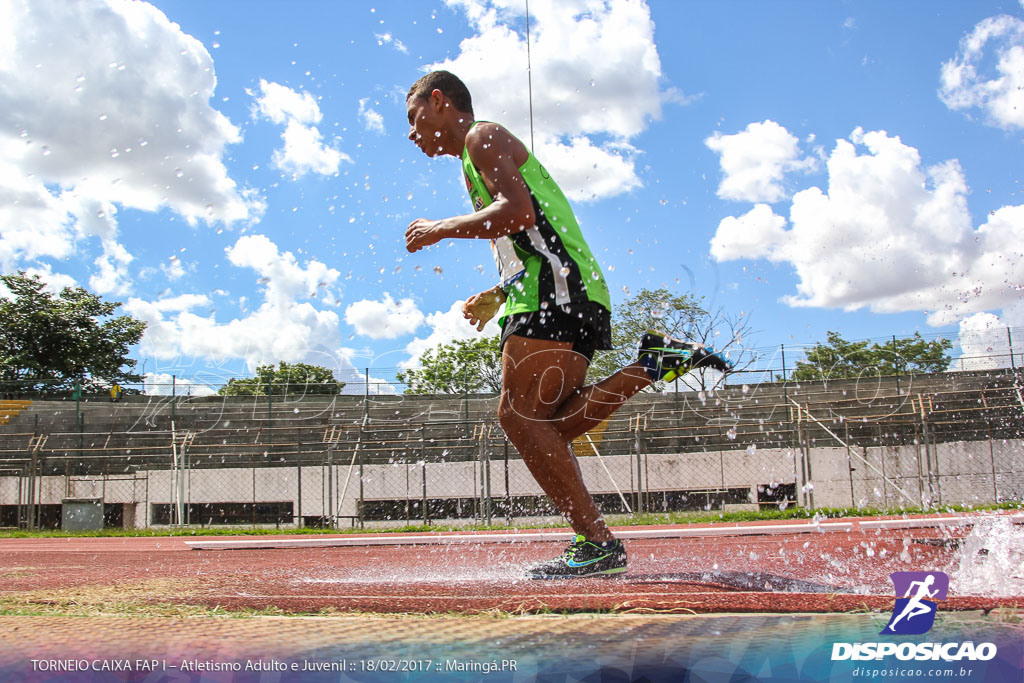 1º Torneio Federação de Atletismo do Paraná 2017 (FAP)