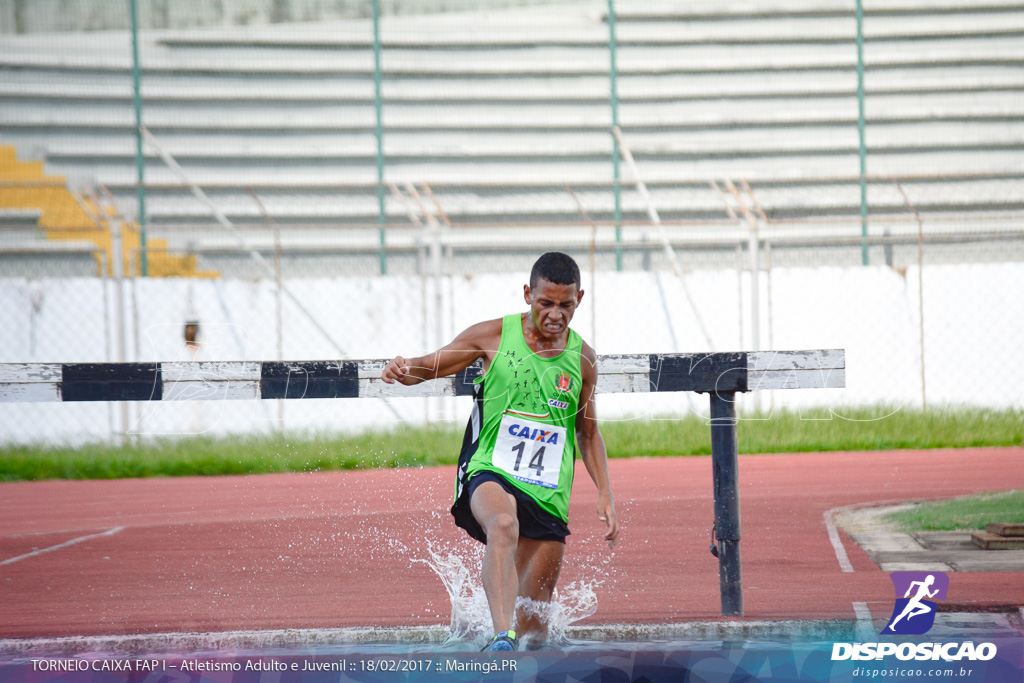 1º Torneio Federação de Atletismo do Paraná 2017 (FAP)