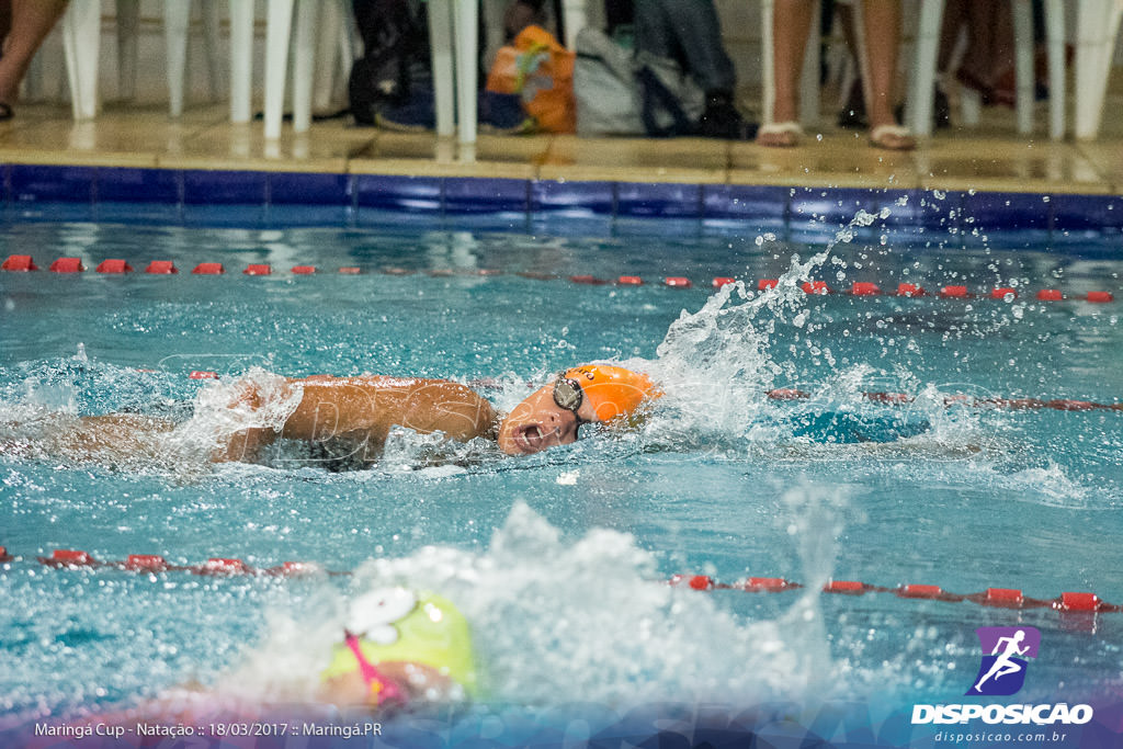 Provas de Natação :: Maringá Cup 2017