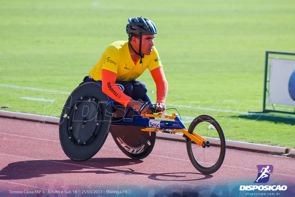 II Torneio Federação de Atletismo do Paraná 2017 (FAP)