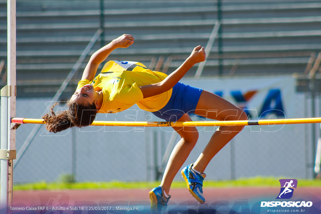 II Torneio Federação de Atletismo do Paraná 2017 (FAP)