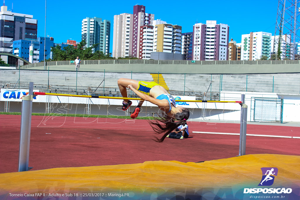 II Torneio Federação de Atletismo do Paraná 2017 (FAP)