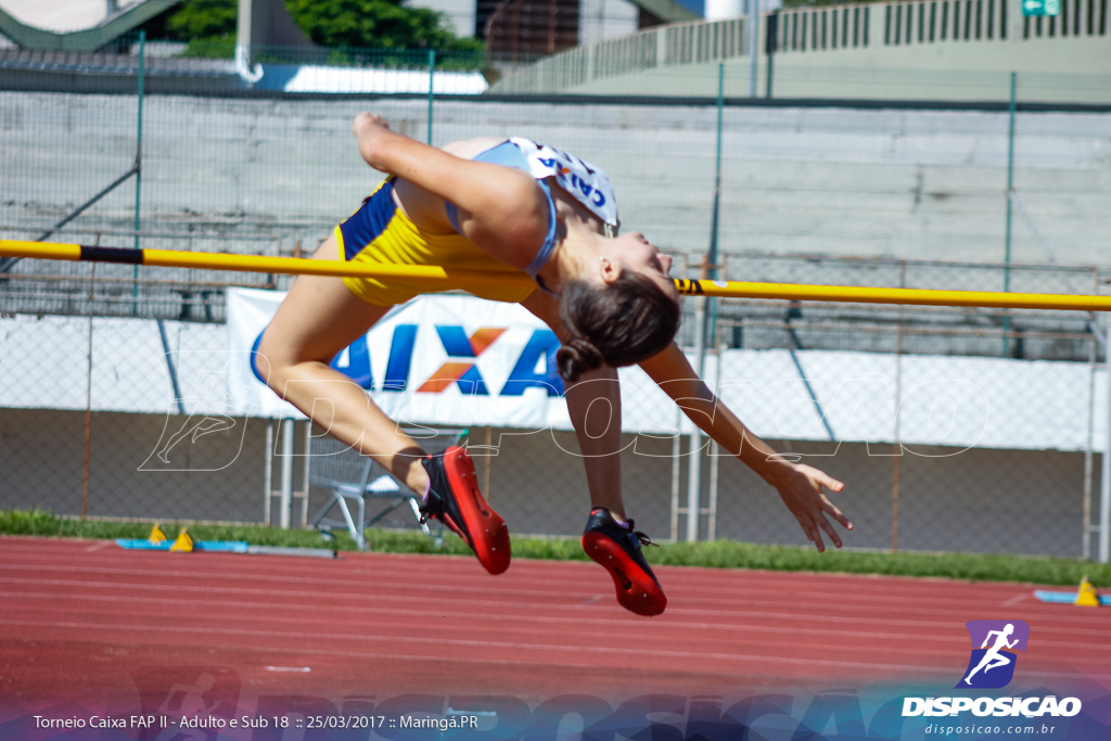 II Torneio Federação de Atletismo do Paraná 2017 (FAP)