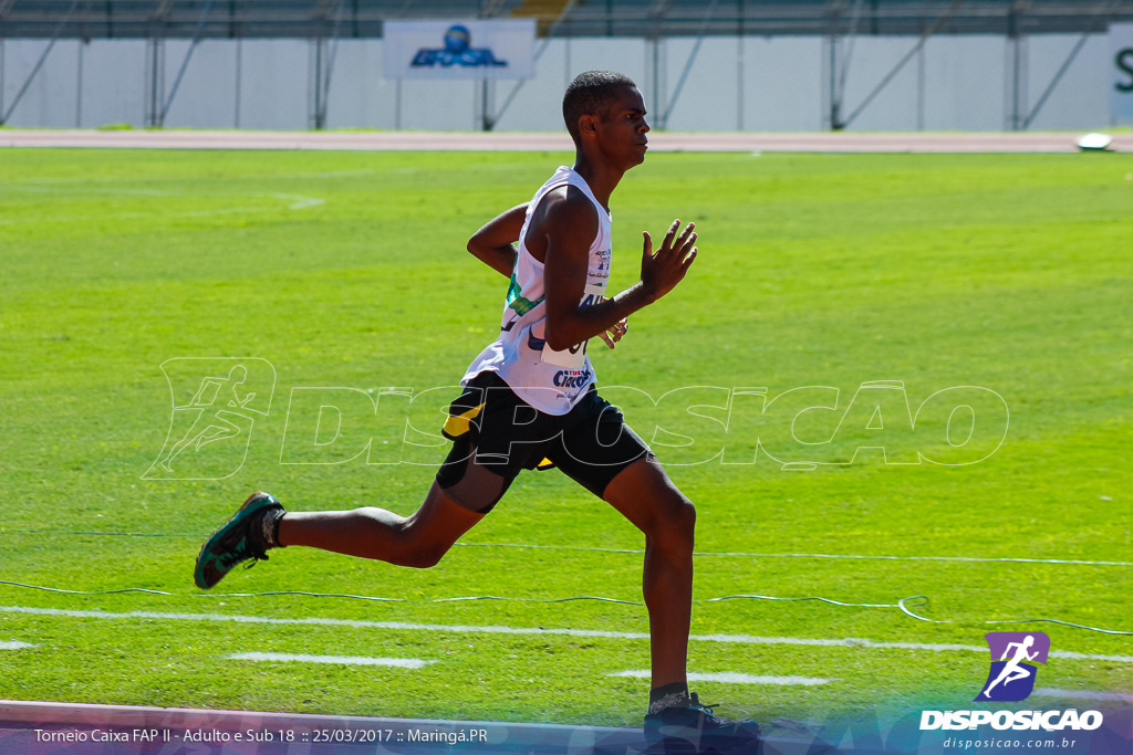 II Torneio Federação de Atletismo do Paraná 2017 (FAP)