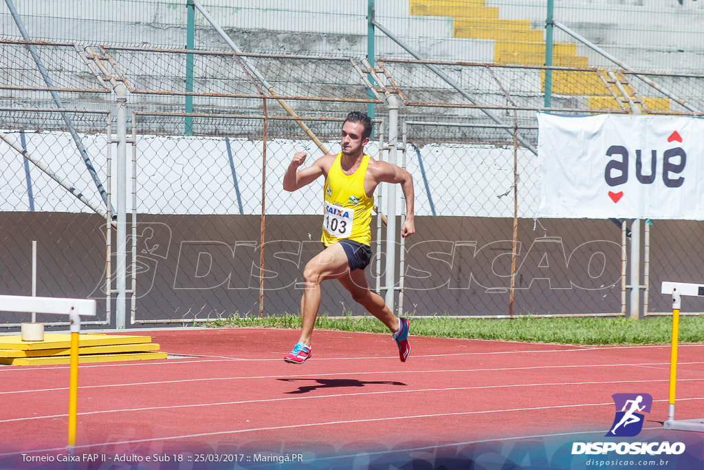 II Torneio Federação de Atletismo do Paraná 2017 (FAP)