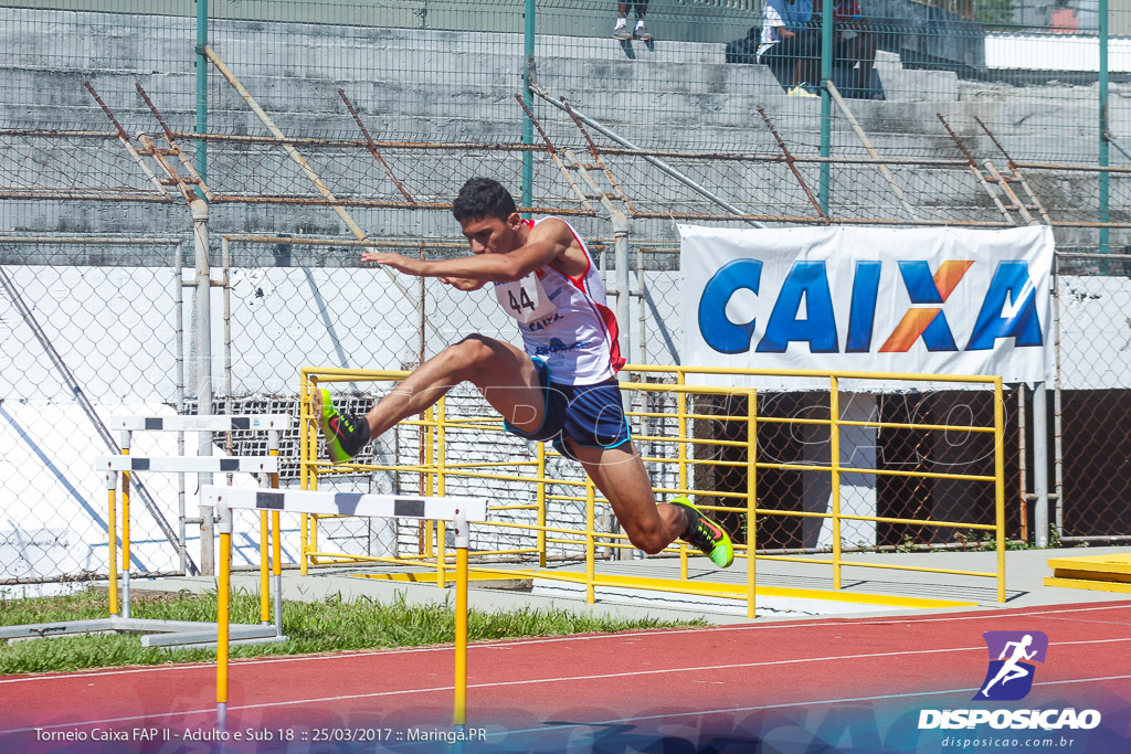 II Torneio Federação de Atletismo do Paraná 2017 (FAP)