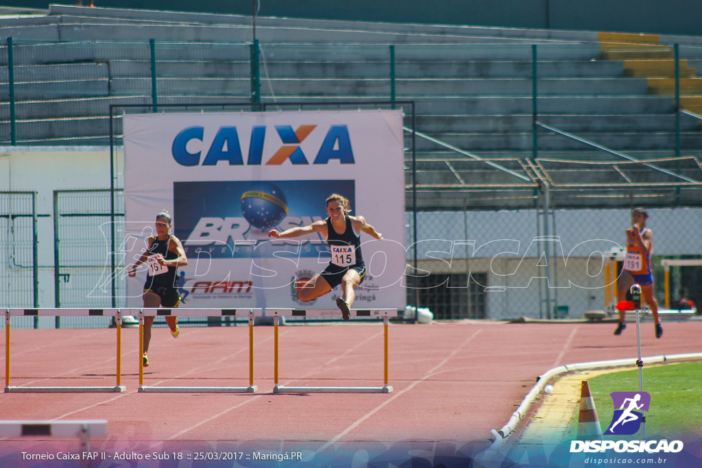 II Torneio Federação de Atletismo do Paraná 2017 (FAP)