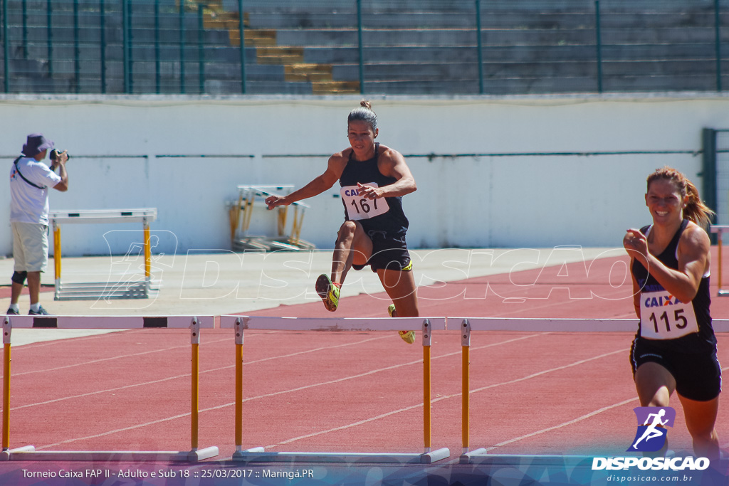 II Torneio Federação de Atletismo do Paraná 2017 (FAP)