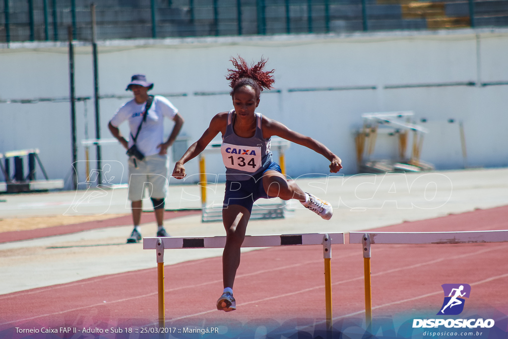 II Torneio Federação de Atletismo do Paraná 2017 (FAP)