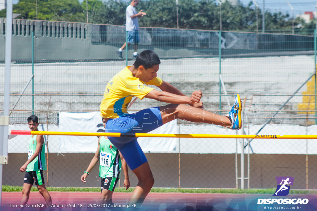 II Torneio Federação de Atletismo do Paraná 2017 (FAP)