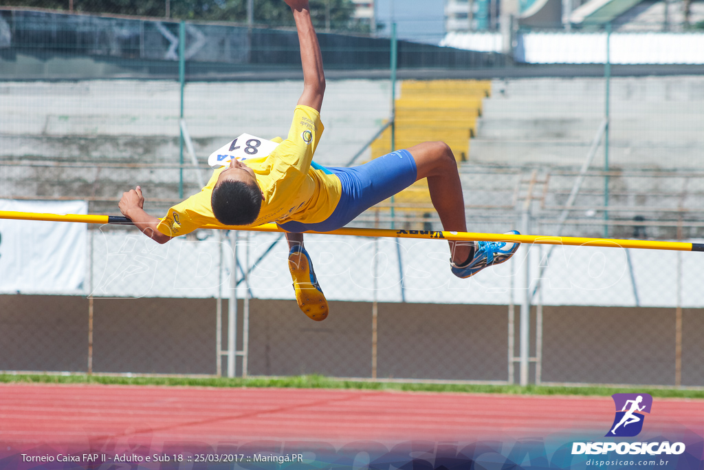 II Torneio Federação de Atletismo do Paraná 2017 (FAP)