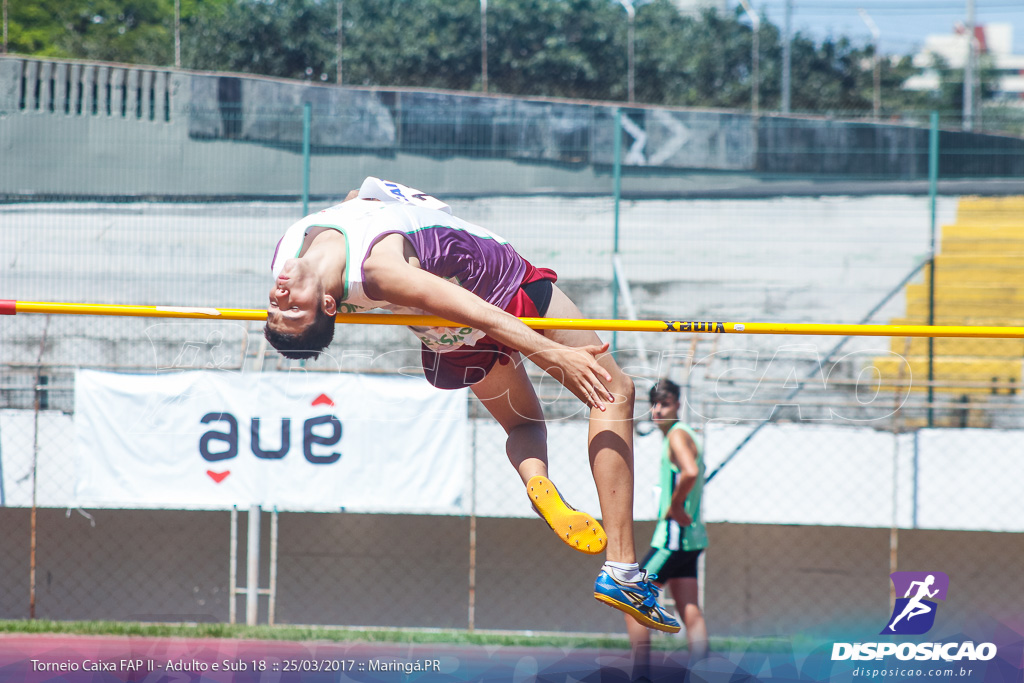 II Torneio Federação de Atletismo do Paraná 2017 (FAP)