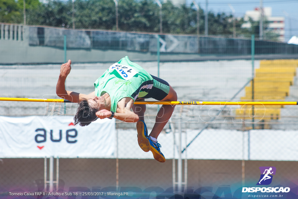 II Torneio Federação de Atletismo do Paraná 2017 (FAP)