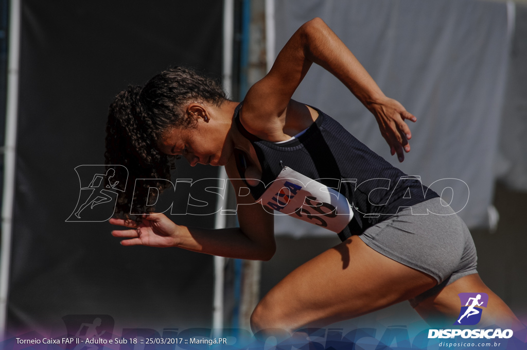 II Torneio Federação de Atletismo do Paraná 2017 (FAP)