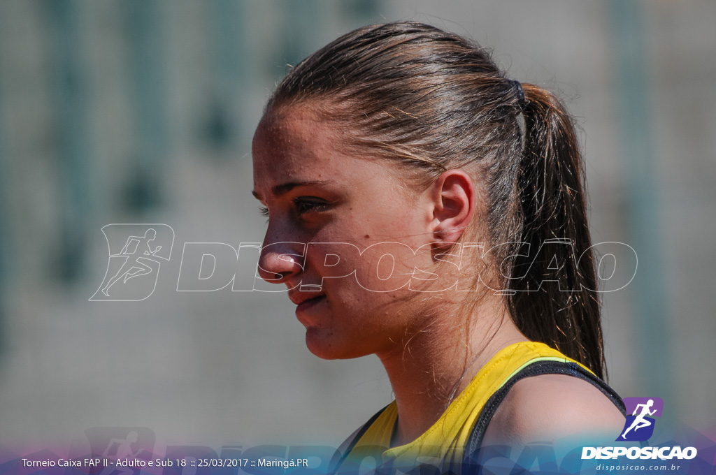 II Torneio Federação de Atletismo do Paraná 2017 (FAP)