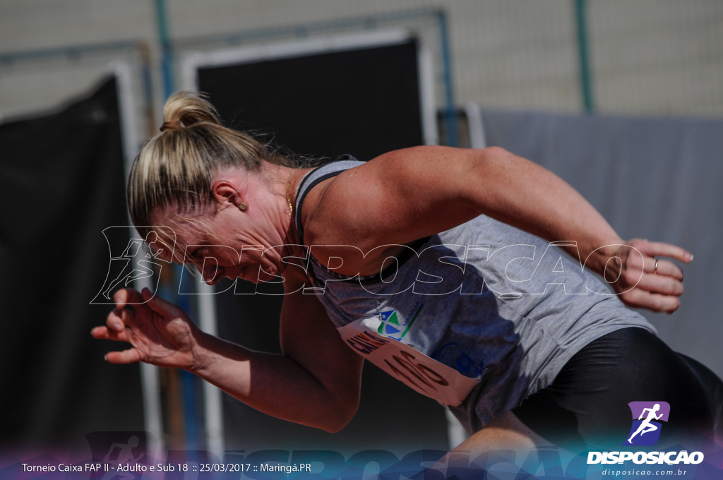 II Torneio Federação de Atletismo do Paraná 2017 (FAP)