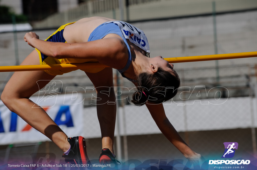 II Torneio Federação de Atletismo do Paraná 2017 (FAP)