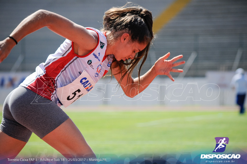 II Torneio Federação de Atletismo do Paraná 2017 (FAP)