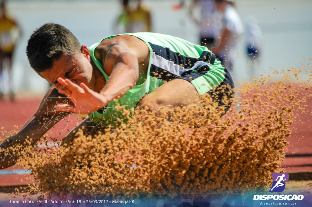 II Torneio Federação de Atletismo do Paraná 2017 (FAP)