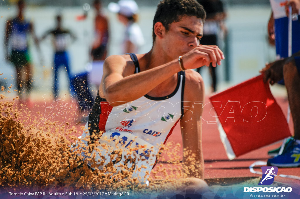 II Torneio Federação de Atletismo do Paraná 2017 (FAP)