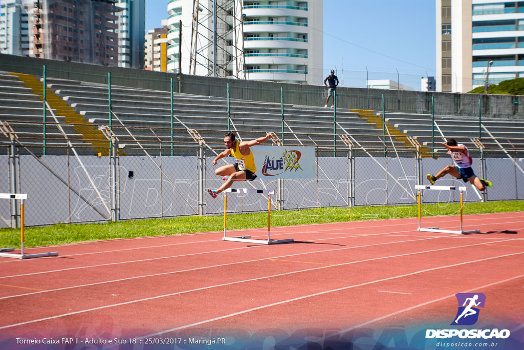 II Torneio Federação de Atletismo do Paraná 2017 (FAP)