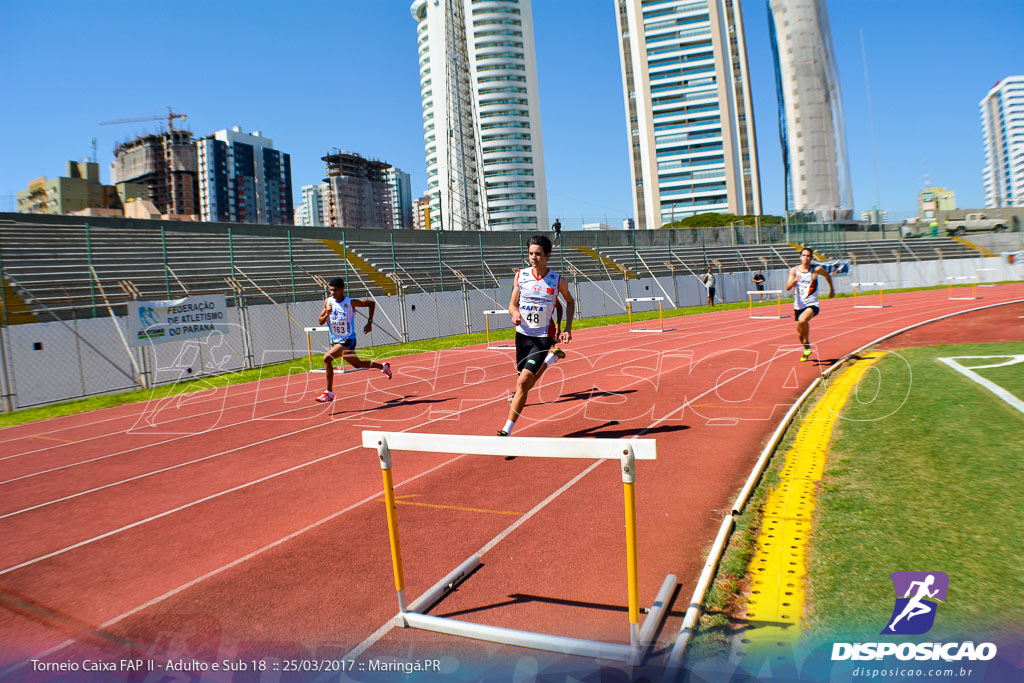 II Torneio Federação de Atletismo do Paraná 2017 (FAP)