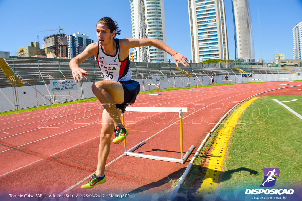 II Torneio Federação de Atletismo do Paraná 2017 (FAP)