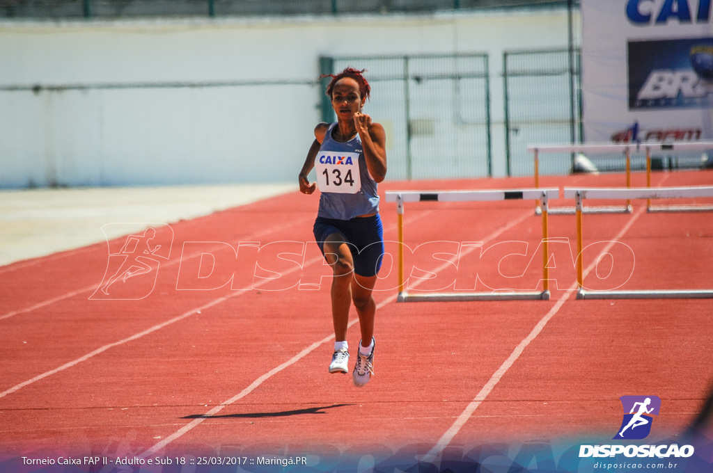 II Torneio Federação de Atletismo do Paraná 2017 (FAP)