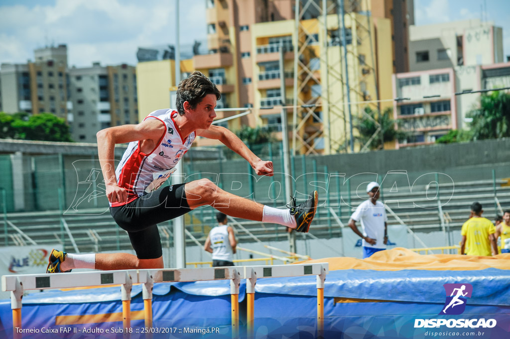 II Torneio Federação de Atletismo do Paraná 2017 (FAP)