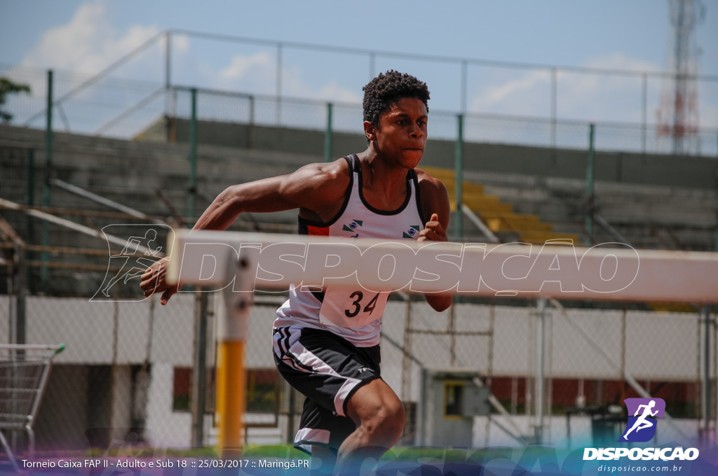 II Torneio Federação de Atletismo do Paraná 2017 (FAP)