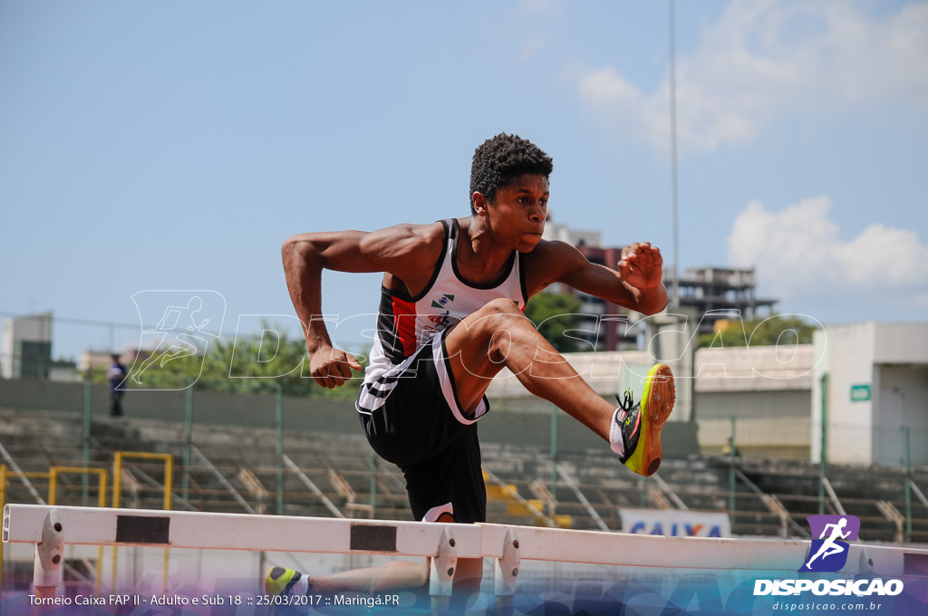 II Torneio Federação de Atletismo do Paraná 2017 (FAP)