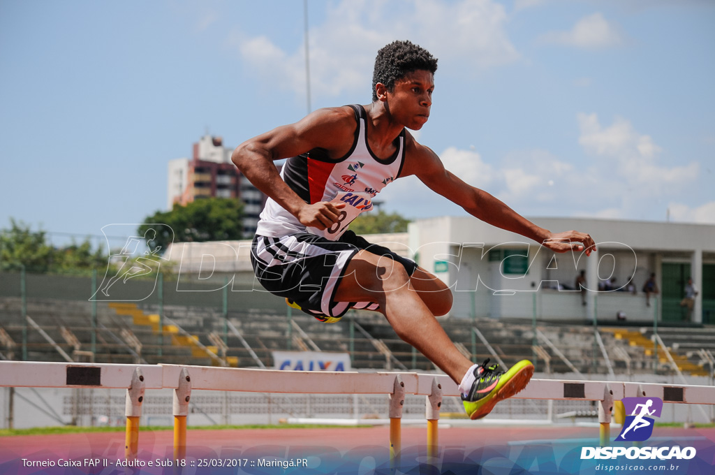 II Torneio Federação de Atletismo do Paraná 2017 (FAP)