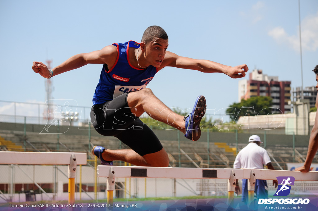 II Torneio Federação de Atletismo do Paraná 2017 (FAP)