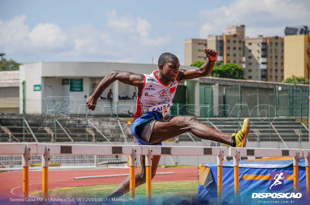 II Torneio Federação de Atletismo do Paraná 2017 (FAP)