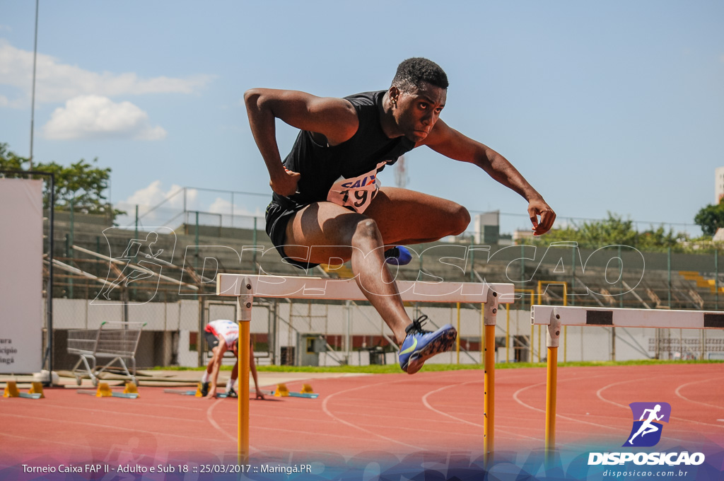 II Torneio Federação de Atletismo do Paraná 2017 (FAP)