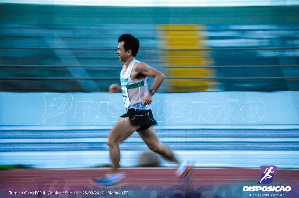 II Torneio Federação de Atletismo do Paraná 2017 (FAP)