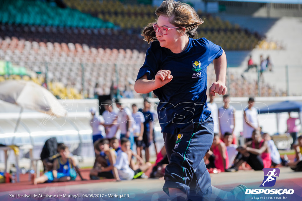 XVII Festival de Atletismo de Maringá