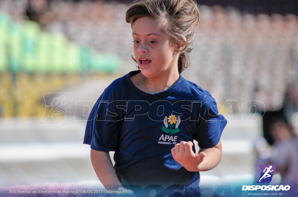 XVII Festival de Atletismo de Maringá