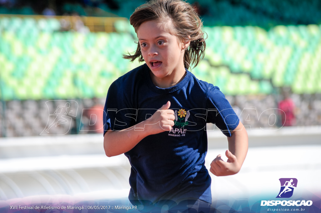 XVII Festival de Atletismo de Maringá