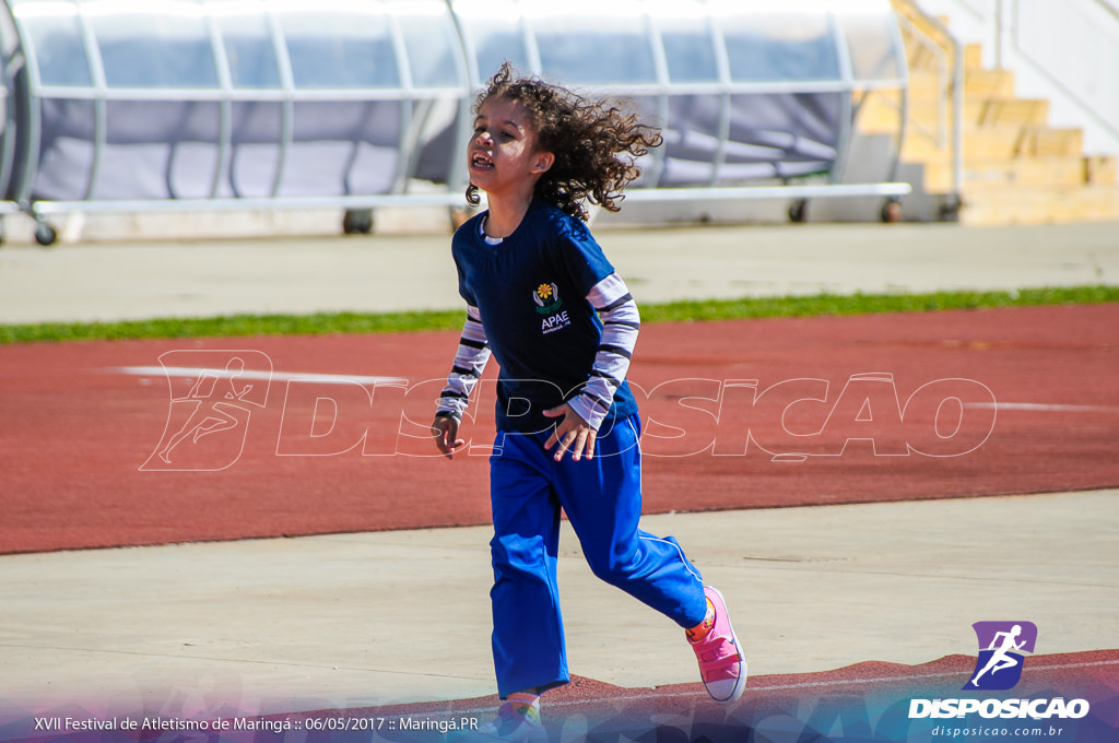 XVII Festival de Atletismo de Maringá