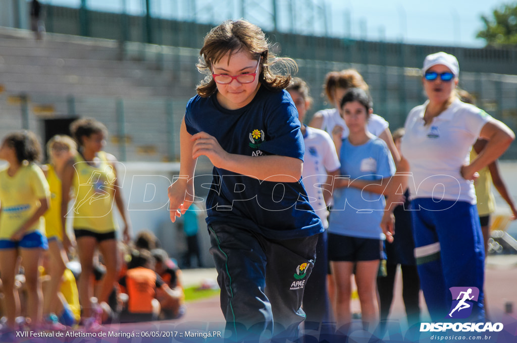 XVII Festival de Atletismo de Maringá