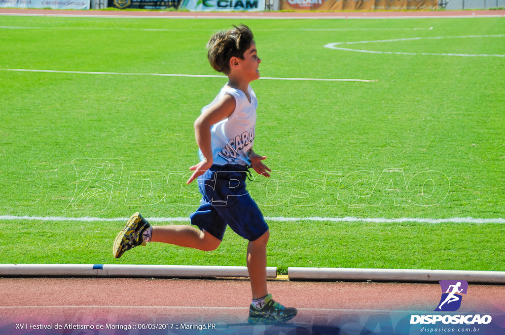 XVII Festival de Atletismo de Maringá