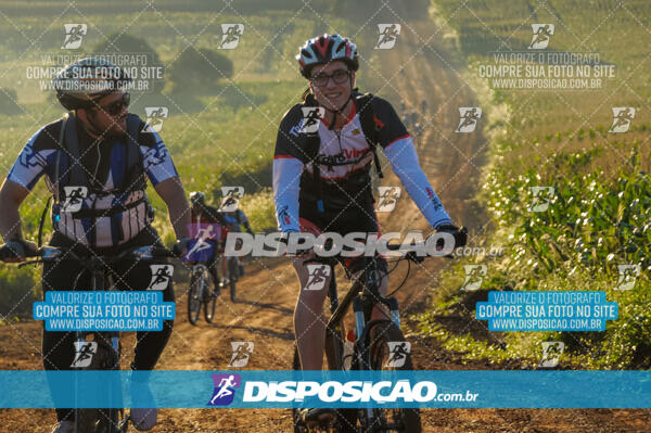 Rota das Catedrais 2017 - Londrina - Maringá