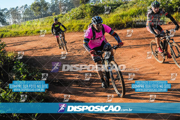 Rota das Catedrais 2017 - Londrina - Maringá