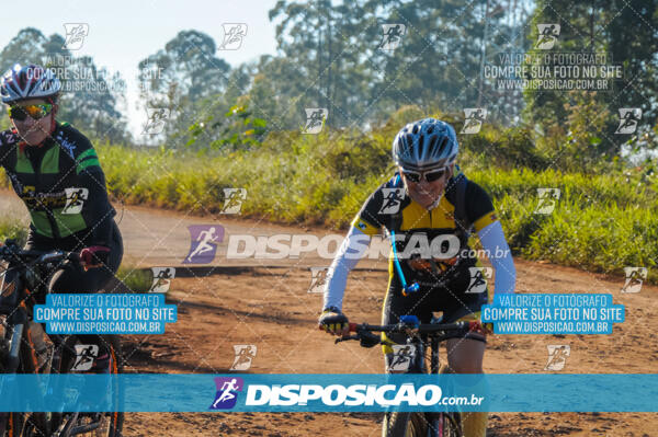 Rota das Catedrais 2017 - Londrina - Maringá