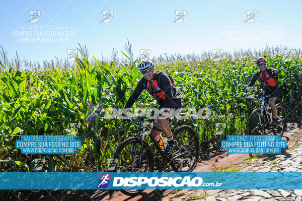 Rota das Catedrais 2017 - Londrina - Maringá