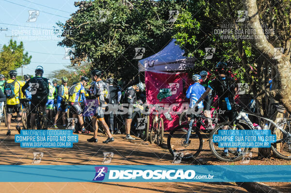 Rota das Catedrais 2017 - Londrina - Maringá