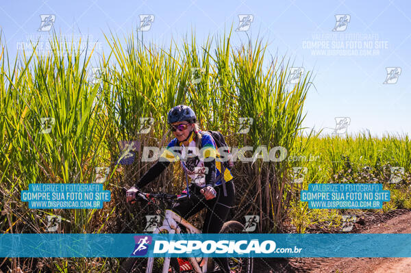 Rota das Catedrais 2017 - Londrina - Maringá